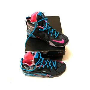 Lebron Xll (12s)